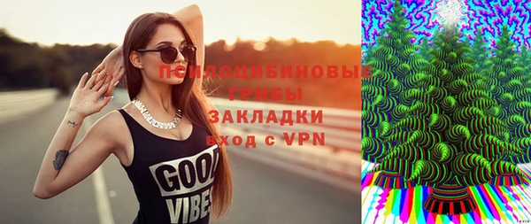 сатива Аркадак