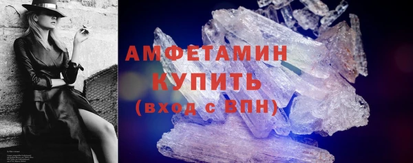 сатива Аркадак