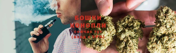 сатива Аркадак